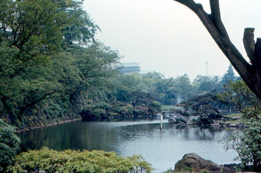 日比谷公園(心字池)の現在の様子