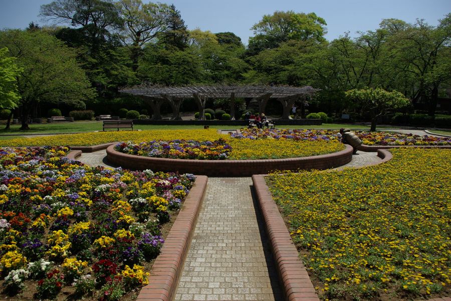里見公園(国府台)の現在の様子