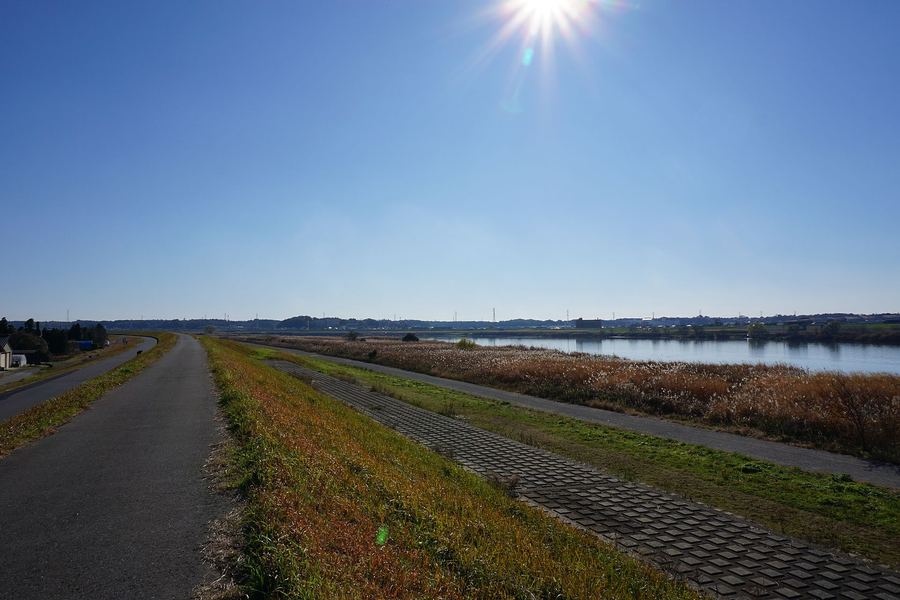 利根川(布佐周辺、推定地)の現在の様子