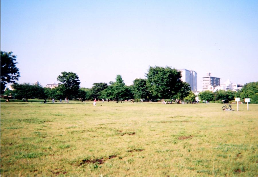 木場公園の現在の様子