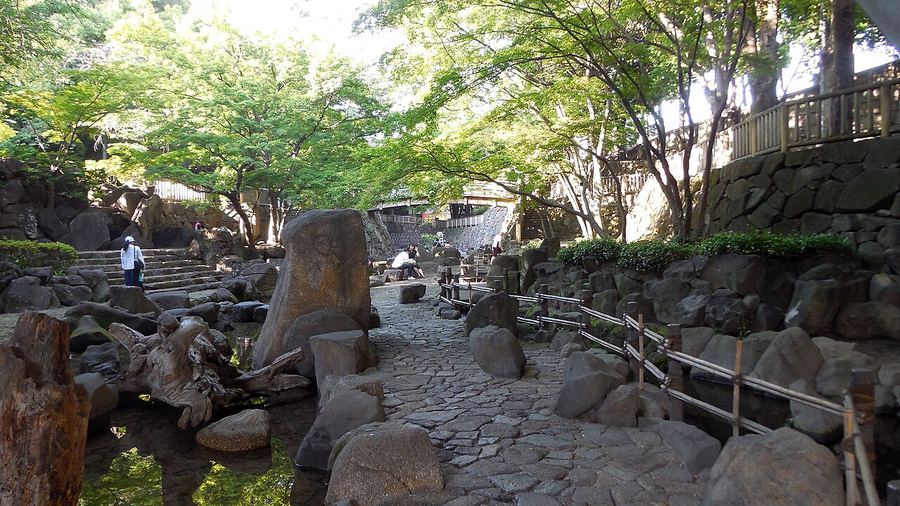 石神井川(音無川)渓谷の現在の様子