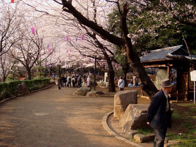 飛鳥山公園の現在の様子