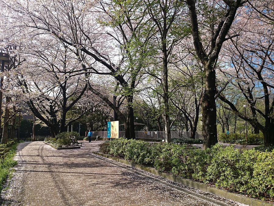 御殿山庭園の現在の様子