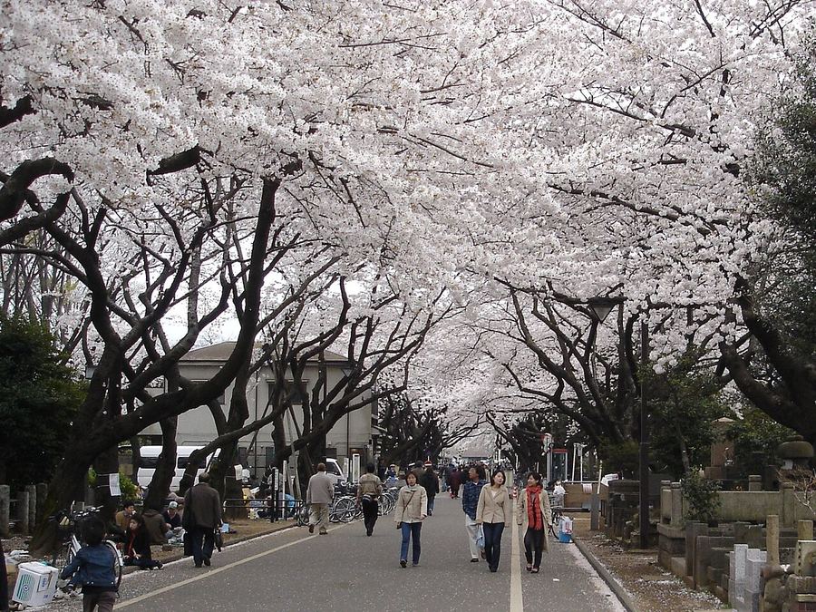 谷中・修性院周辺の現在の様子