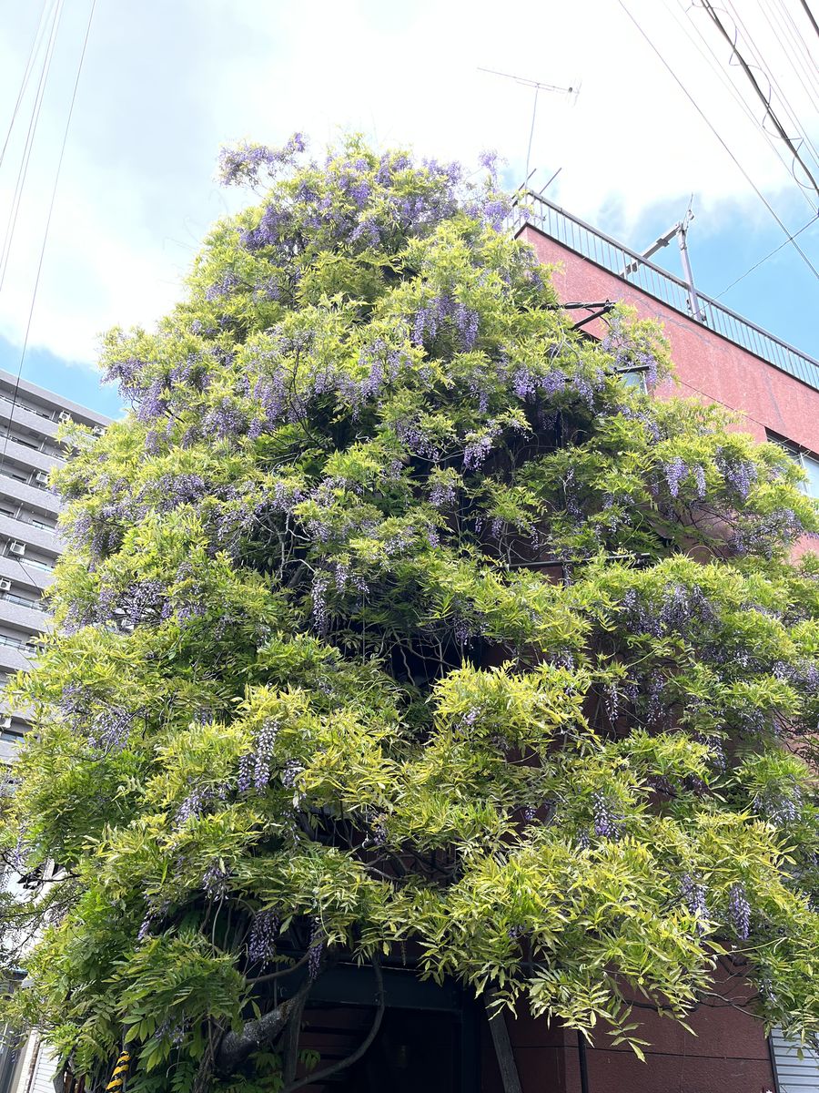 東日暮里(三河島駅周辺)の現在の様子